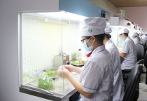 THI CÔNG PHÒNG SẠCH NUÔI CẤY VI SINH